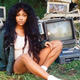 Cover detail of SZA’s Ctrl (RCA Records)